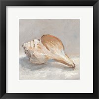 Framed 'Impressionist Shell Study III' border=