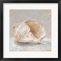 Impressionist Shell Study IV Framed Print