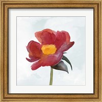 Framed 'Joyful Peony I' border=