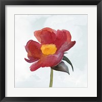 Framed 'Joyful Peony I' border=