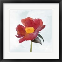 Joyful Peony I Framed Print