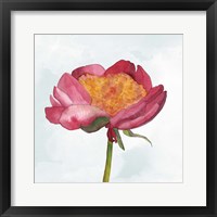 Framed 'Joyful Peony II' border=