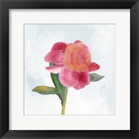 Framed 'Joyful Peony III' border=