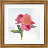 Framed 'Joyful Peony III' border=