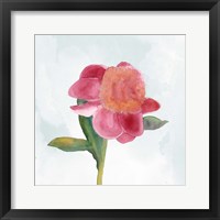 Joyful Peony III Framed Print