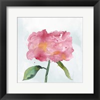 Framed 'Joyful Peony IV' border=