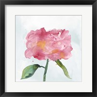 Framed 'Joyful Peony IV' border=