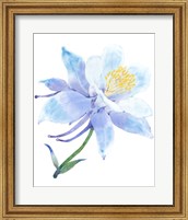 Framed 'Columbine Bloom I' border=