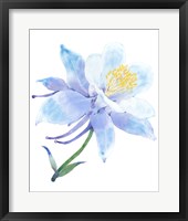 Framed 'Columbine Bloom I' border=