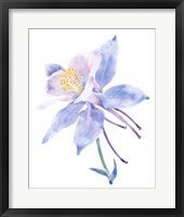 Framed 'Columbine Bloom II' border=