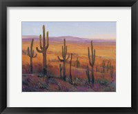 Framed Desert Light I