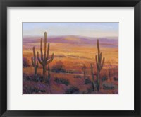 Framed Desert Light II