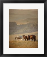 Framed Sunkissed Horses VI