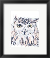 Framed 'Funky Owl Portrait III' border=