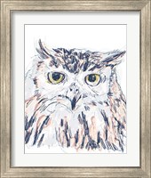 Framed 'Funky Owl Portrait III' border=