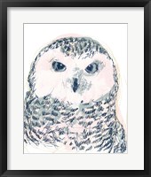 Framed 'Funky Owl Portrait IV' border=