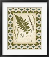 Framed 'Moroccan Ferns II' border=