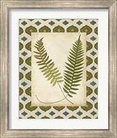 Framed 'Moroccan Ferns III' border=