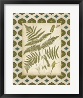 Framed 'Moroccan Ferns IV' border=