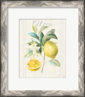 Framed 'Floursack Lemon IV v2' border=