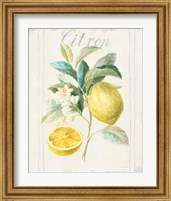 Framed 'Floursack Lemon IV v2' border=