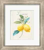 Framed 'Floursack Lemon III v2' border=