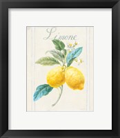 Framed 'Floursack Lemon III v2' border=