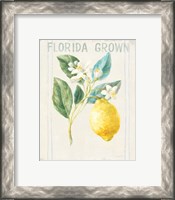 Framed 'Floursack Lemon I v2' border=