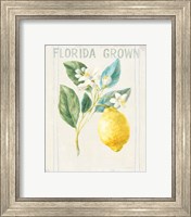 Framed 'Floursack Lemon I v2' border=