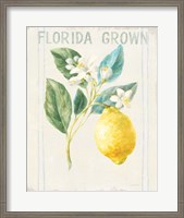 Framed 'Floursack Lemon I v2' border=