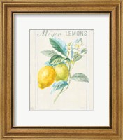 Framed 'Floursack Lemon II v2' border=