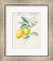 Framed 'Floursack Lemon II v2' border=