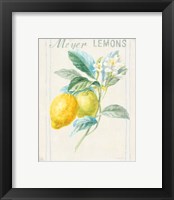 Framed 'Floursack Lemon II v2' border=