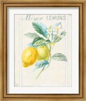 Framed 'Floursack Lemon II v2' border=