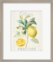 Framed 'Floursack Lemon IV' border=