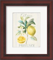 Framed 'Floursack Lemon IV' border=