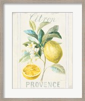 Framed 'Floursack Lemon IV' border=