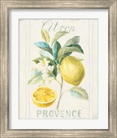 Framed 'Floursack Lemon IV' border=