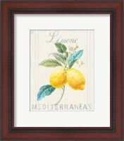 Framed 'Floursack Lemon III' border=