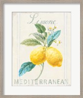 Framed 'Floursack Lemon III' border=