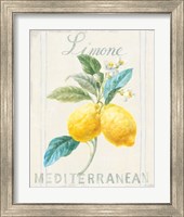 Framed 'Floursack Lemon III' border=