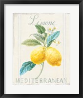 Framed 'Floursack Lemon III' border=