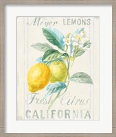 Framed Floursack Lemon II