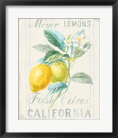 Framed 'Floursack Lemon II' border=