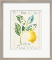 Framed 'Floursack Lemon I' border=