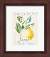 Framed 'Floursack Lemon I' border=