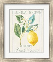 Framed Floursack Lemon I