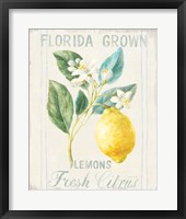 Framed 'Floursack Lemon I' border=