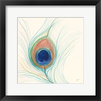 Framed Peacock Feather II