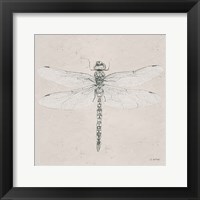 Soft Summer Sketches VI Framed Print